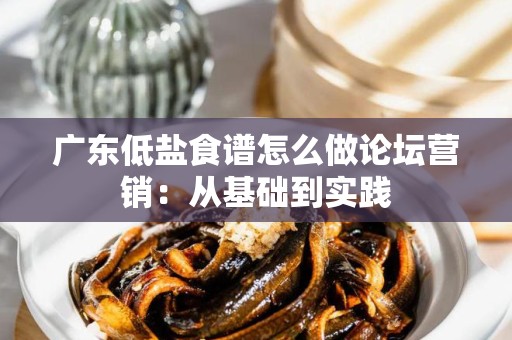广东低盐食谱怎么做论坛营销：从基础到实践
