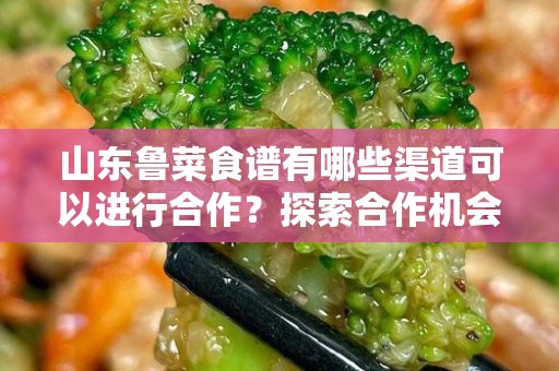 山东鲁菜食谱有哪些渠道可以进行合作？探索合作机会的全景指南