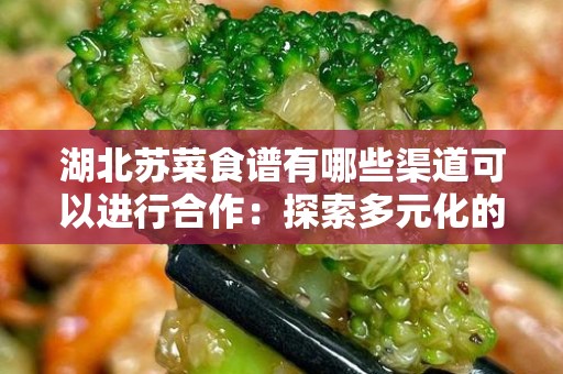 湖北苏菜食谱有哪些渠道可以进行合作：探索多元化的合作模式