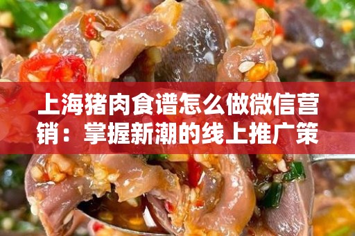 上海猪肉食谱怎么做微信营销：掌握新潮的线上推广策略