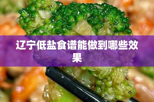 辽宁低盐食谱能做到哪些效果