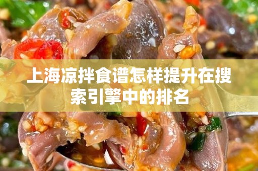 上海凉拌食谱怎样提升在搜索引擎中的排名