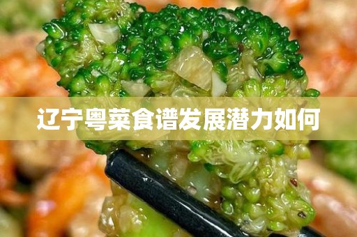 辽宁粤菜食谱发展潜力如何