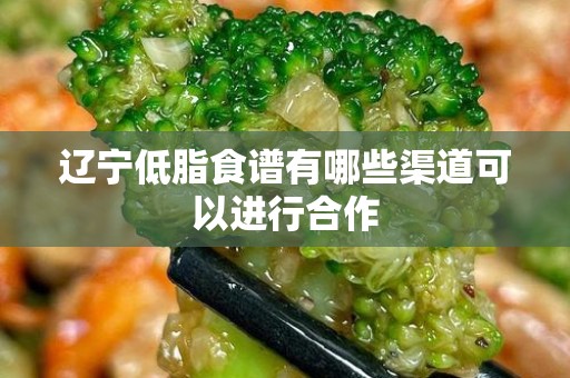 辽宁低脂食谱有哪些渠道可以进行合作