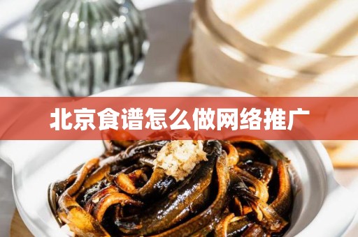 北京食谱怎么做网络推广