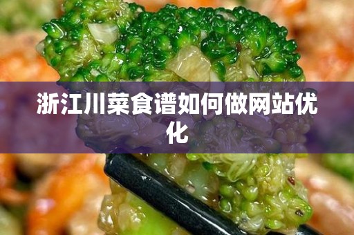 浙江川菜食谱如何做网站优化