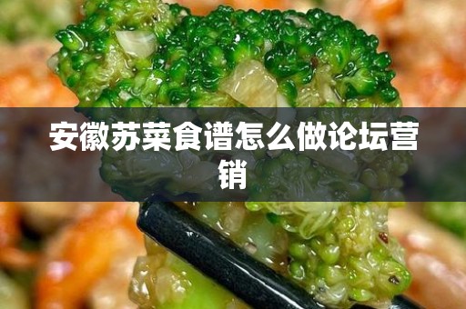 安徽苏菜食谱怎么做论坛营销