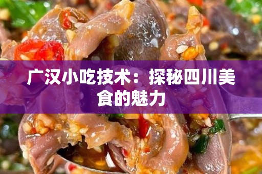 广汉小吃技术：探秘四川美食的魅力