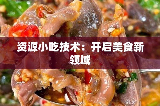 资源小吃技术：开启美食新领域