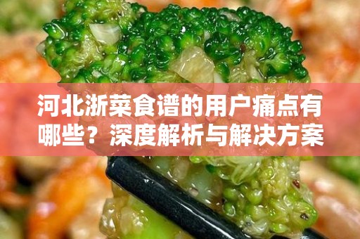 河北浙菜食谱的用户痛点有哪些？深度解析与解决方案