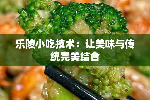 乐陵小吃技术：让美味与传统完美结合