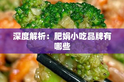 深度解析：肥娟小吃品牌有哪些