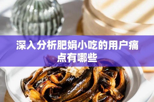 深入分析肥娟小吃的用户痛点有哪些