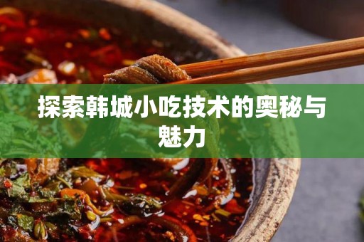 探索韩城小吃技术的奥秘与魅力