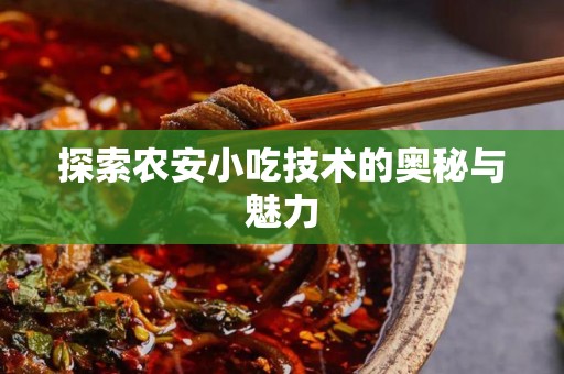探索农安小吃技术的奥秘与魅力