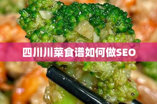 四川川菜食谱如何做SEO