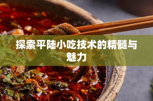 探索平陆小吃技术的精髓与魅力