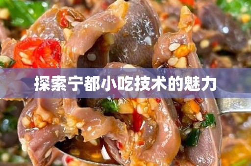 探索宁都小吃技术的魅力