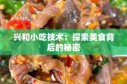兴和小吃技术：探索美食背后的秘密