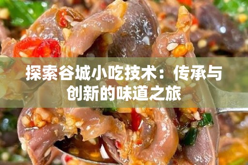 探索谷城小吃技术：传承与创新的味道之旅