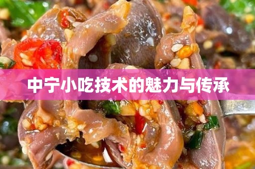 中宁小吃技术的魅力与传承