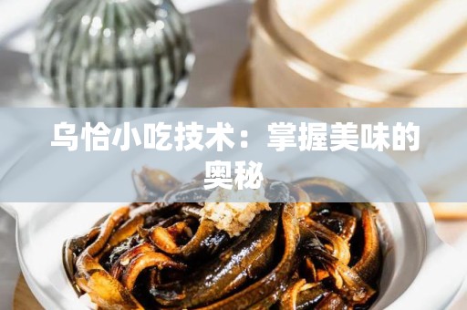 乌恰小吃技术：掌握美味的奥秘
