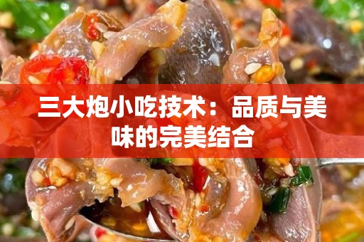 三大炮小吃技术：品质与美味的完美结合