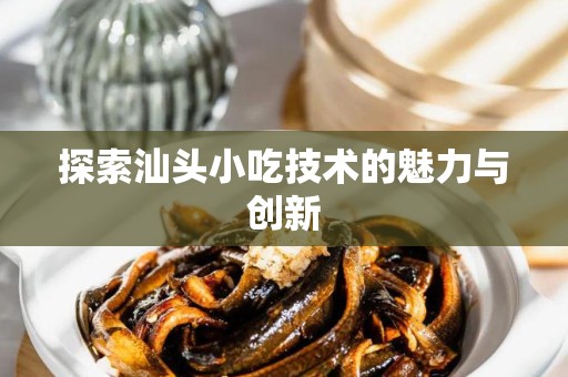 探索汕头小吃技术的魅力与创新