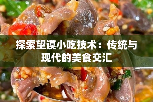 探索望谟小吃技术：传统与现代的美食交汇