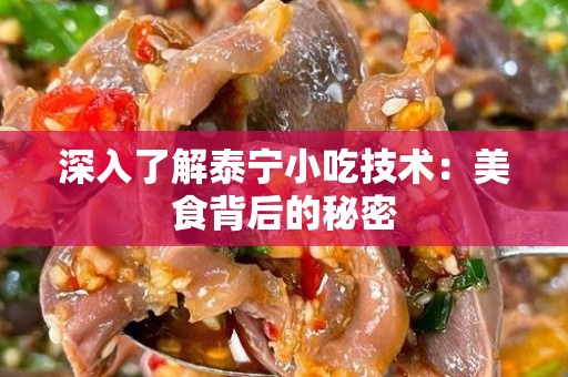 深入了解泰宁小吃技术：美食背后的秘密