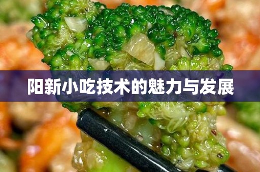 阳新小吃技术的魅力与发展