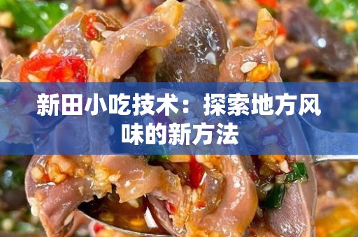 新田小吃技术：探索地方风味的新方法