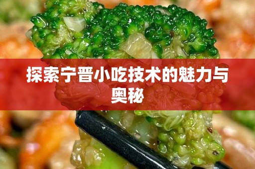 探索宁晋小吃技术的魅力与奥秘